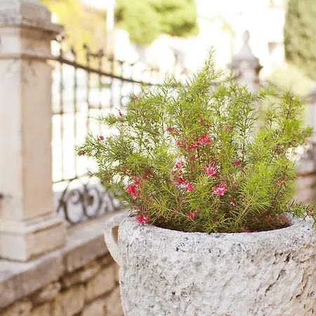 Отель Grand Argentina 5*